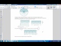 Circle Area and Properties Assessment
