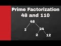 Prime Factorization and Factors