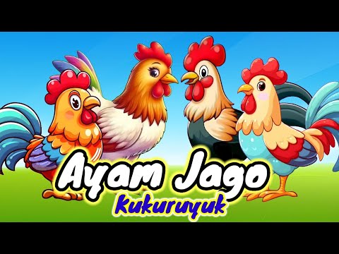 Lagu Anak 🇮🇩 Kuku Kukuruyuk - Lagu Ayam Jago - Ayam Berkokok - Lagu Anak Indonesia