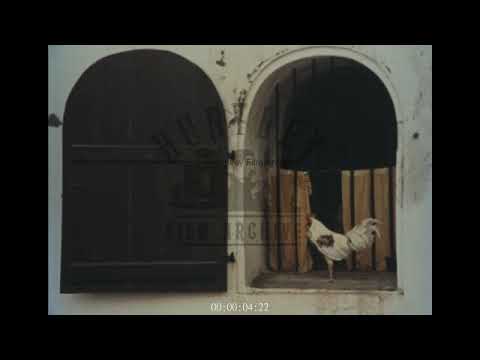 Colonial Architecture in Indonesia, 1970s - Archive Film 1053493