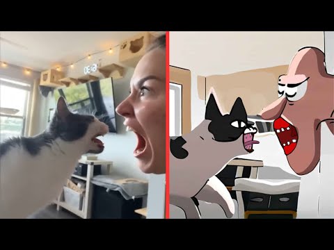 Most Funniest Cat Videos in 2024🐱😂Cat Drawing Meme | Loop Media