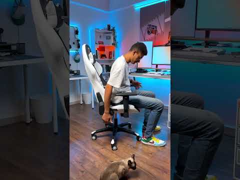 تشتري كرسي جيمنج ولا طبي 🤔 ؟