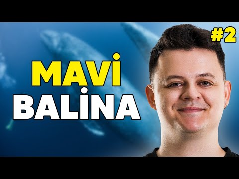 Mavi Balina Oyununun 50 Görevi! | Burak Güngör Anlatıyor