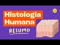 Histology and Tissue Types
