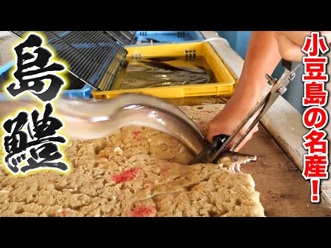 ハモの自動骨切り機が凄すぎる！小豆島の高級ハモの出荷工場に潜入してみた。