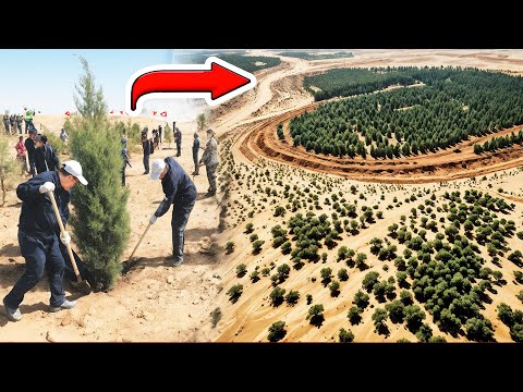 How China Turned the Big Desert into an Oasis Forever