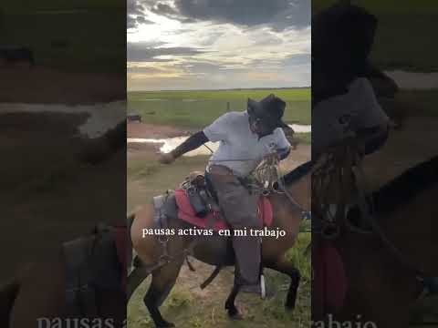pegou a capivara no laço