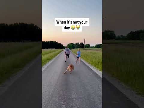 Just one of those days! #funnyvideos #crazy #lol