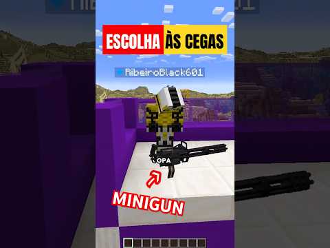 Escolha às Cegas - 2 #minecraft