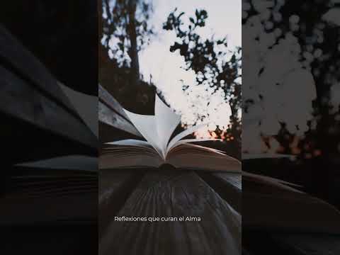 El Libro de las Segundas Oportunidades