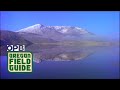 Ecological Recovery at Mount Saint Helens