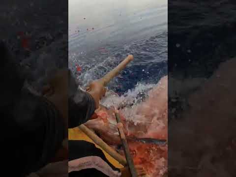 Pakikipag laban sa malaking sword fish grabi nakakatakot #fishinghuntertv #fishing