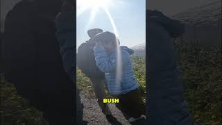 Explaining Alaska hiking to tourist