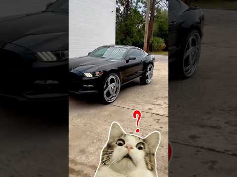 The wheels of this car aren't turning, but how is it moving?||SM Bangla