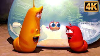 Larva in the Aquarium, Funny Cartoon Episode 12 for Children