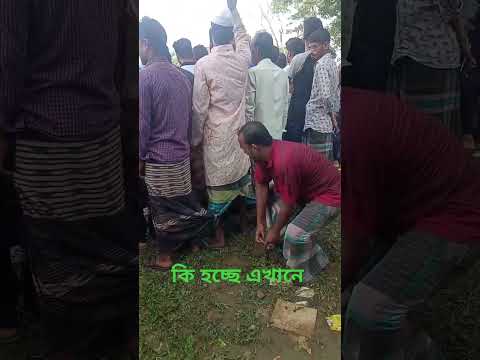 কি হচ্ছে এখানে #funny #mamun #comedy