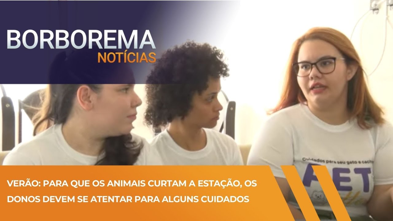 Verão: para que os animais curtam a estação, os donos devem se atentar para alguns cuidados