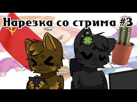 Нарезка со стрима #3