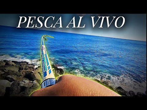 IMPRESIONANTE 🤯 la Gran ACTIVIDAD de estos PECES 🔥🎣 | YoSoyHader