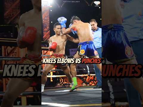 Knees And Elbows Vs Punches: Who wins ? #muaythai