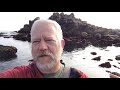 Ricketts' Ecological Perspectives and Contributions