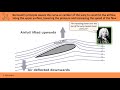 Fundamental Forces and Aircraft Functions
