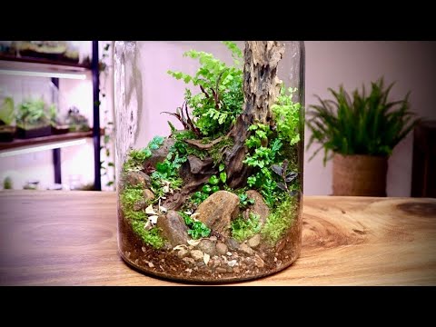 Making a Tree Trunk Terrarium