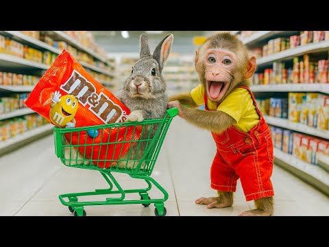 Bebé Mono BoBo Va De Compras y play in Barbie Doll House | Animals Smart HT