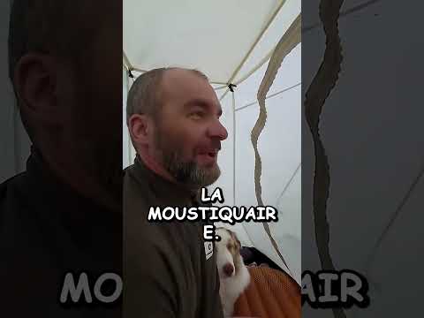 😱 Des millions de moustiques bloqués par une moustiquaire 🦟