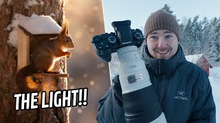 Amazing Winter Day for Nature Photography w/ Sony A1 II