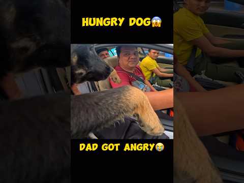 HUNGRY DOG😱..DAD GOT ANGRY😭.#modified #rr310 #rider #kawasaki #zx6r #monsterenergy