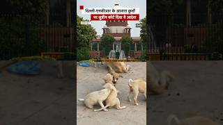 सुप्रीम कोर्ट ने आवारा कुत्तों को शेल्टर में भेजने का दिया आदेश #shorts   |(BBC Hindi)