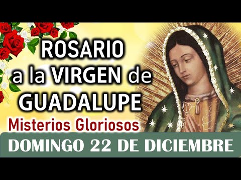 Santo Rosario Corto a la Virgen de Guadalupe, Domingo 22 de Diciembre 🌿💐🌿 Misterios Gloriosos 🌿💐🌿