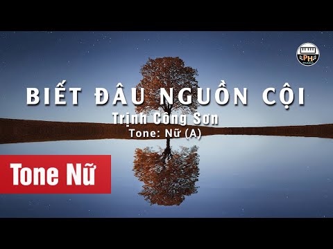 Biết Đâu Nguồn Cội | Karaoke | Tone Nữ | Beat Chuẩn