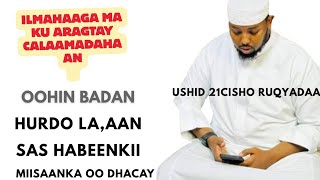 USHID ILMAHA OOHINTA, MIISANKA DHACAY,SHUBANKA LEH, ISHA KUDHACDAY/SH CAYDARUUS