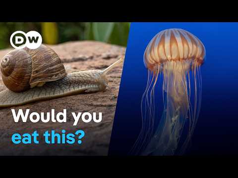 YouTube video thumbnail: How 5 of Europe’s Most Unusual Specialties are Made