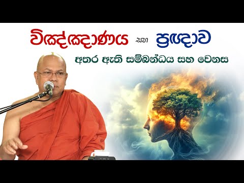 විඤ්ඤාණය සහ ප්‍රඥාව ගැන මහරහතන් වහන්සේලා දෙනමක් අතර සිදුවූ අසිරිමත් ධර්ම සාකච්ඡාව