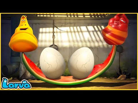 LARVA CÂN BẰNG - ẤU TRÙNG TINH NGHỊCH - PHIM HOẠT HÌNH LARVA MỚI NHẤT 2025
