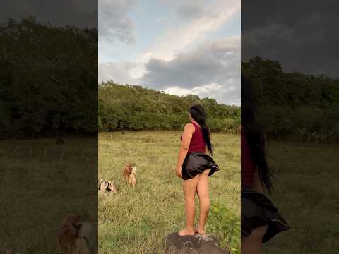Disfrutando del CAMPO