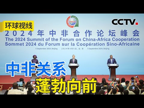 新定位新蓝图 中非携手推进现代化启新程 20240905 | CCTV中文《环球视线》