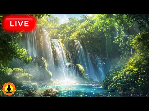 &#128308; Relaxing Music Water Sounds 24/7, Zen Music, Calming Music, Nature Meditation Music, Flowing Water