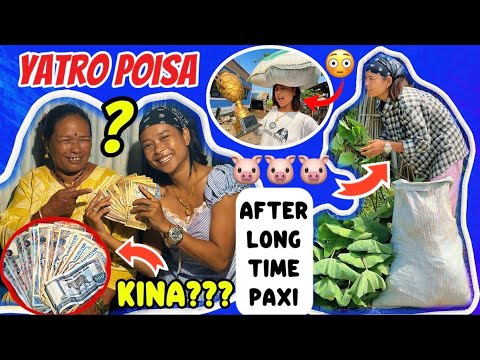 K KO LAGI YATRO POISA😳//POISA DIDA MUMMY KO REACTION😂//DHARAI PAXI 🐷LAI CHARO KATEYO🥰//bebo_vlog🌍❤️🥀