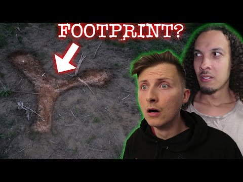 We found FOOTPRINTS in the SIREN HEAD FOREST...
