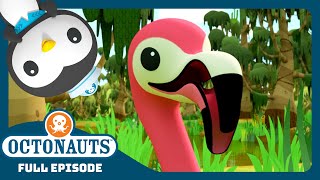 @Octonauts - 🌴 The Flamingos 🦩 | Season 4 | Full Episode | Cartoons for Kids