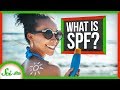 Understanding SPF and Sunscreen