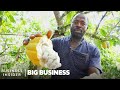Ghana's Cocoa Industry and Challenges