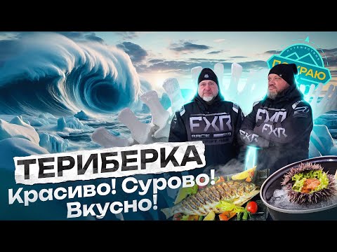 Териберка. Красиво! Сурово! Вкусно!