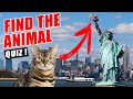 Animal Hiding and Location Puzzles