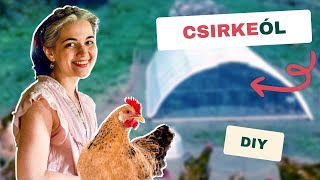Új csirkeólak 500 csirkének!