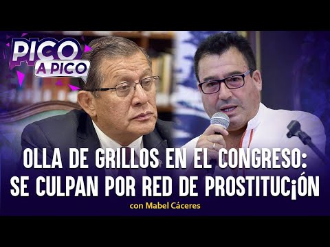 Olla de grillos en el Congreso | Pico a Pico con Mabel Cáceres